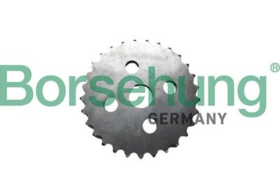 Oil Pump Borsehung B12731