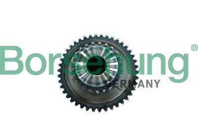 Timing Chain Borsehung B12746