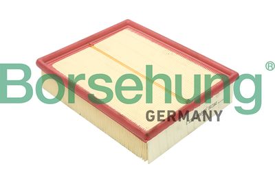 Air Filter Borsehung B12804
