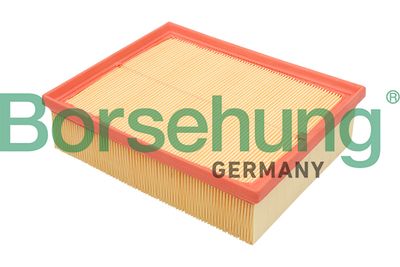 Air Filter Borsehung B12805