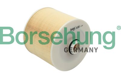 Air Filter Borsehung B12807