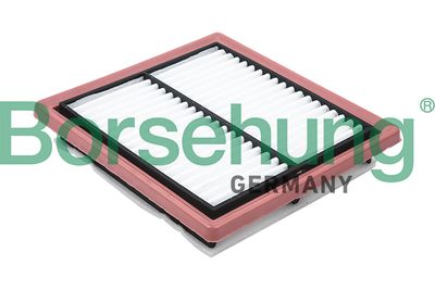 Air Filter Borsehung B12809