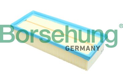 Air Filter Borsehung B12811