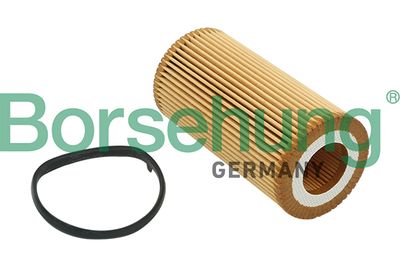Oil Filter Borsehung B12815