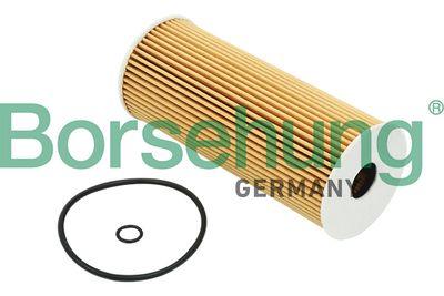 Oil Filter Borsehung B12816