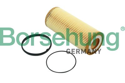 Oil Filter Borsehung B12820
