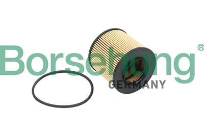Oil Filter Borsehung B12821