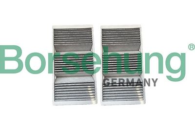 Filter, cabin air Borsehung B12848