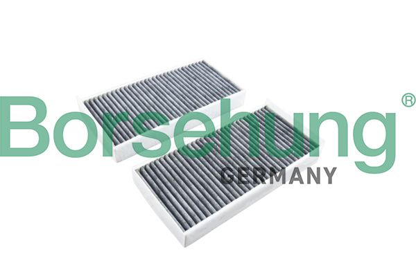 Borsehung B12859 Filter, cabin air