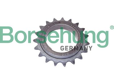 Timing Chain Borsehung B12887