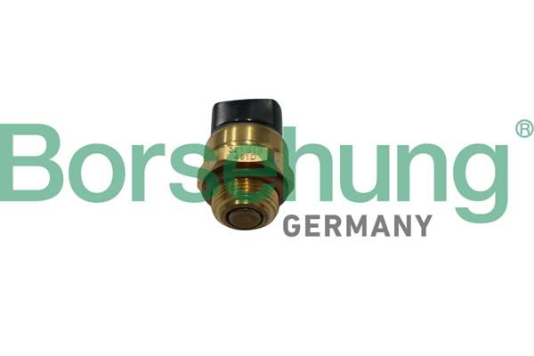 Borsehung B13131 Temperature Switch, radiator fan