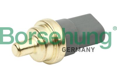 Sensor, coolant temperature Borsehung B13146
