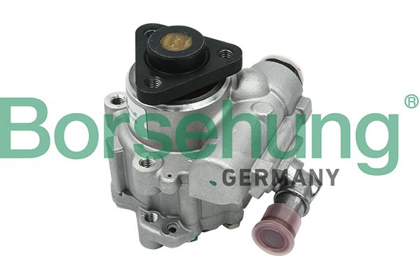 Borsehung B13209 Hydraulic Pump, steering