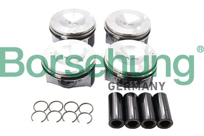 Piston Borsehung B13574