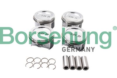 Piston Borsehung B13581