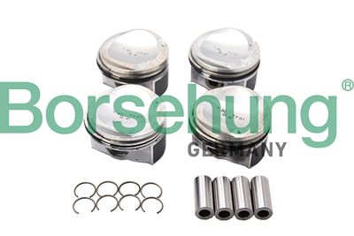 Piston Borsehung B13582