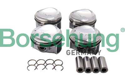 Piston Borsehung B13584