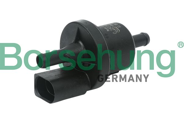 Borsehung B13667 Charcoal Filter Valve