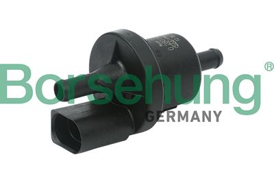 Charcoal Filter Valve Borsehung B13667