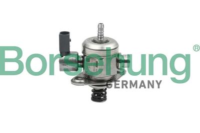 High-pressure Pump Borsehung B13841
