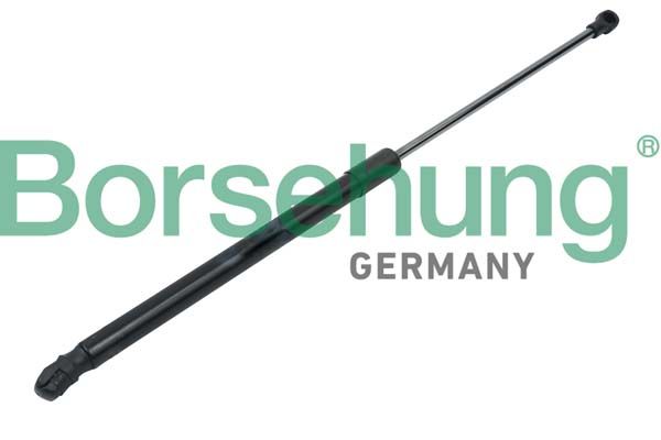 Borsehung B14191 Gas Spring, boot/cargo area