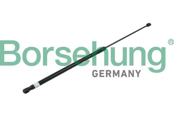 Borsehung B14197 Gas Spring, bonnet