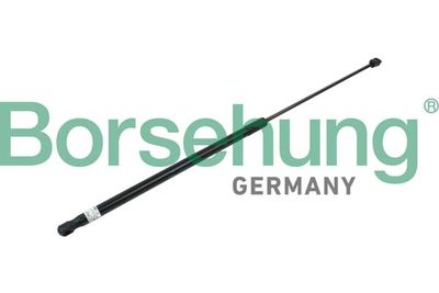 Gas Spring, bonnet Borsehung B14197
