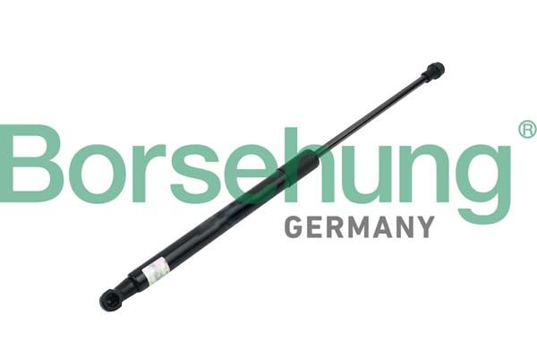 Borsehung B14198 Gas Spring, boot/cargo area
