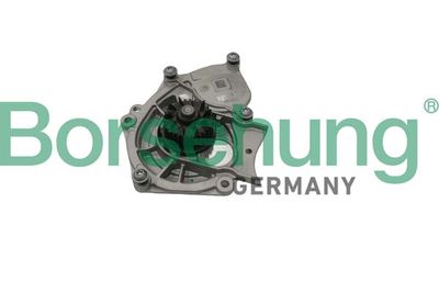 Water Pump, engine cooling Borsehung B15313