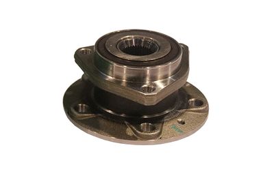 Wheel Bearing Kit Borsehung B15942