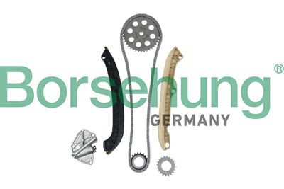 Timing Chain Kit Borsehung B16294
