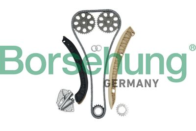 Timing Chain Kit Borsehung B16295