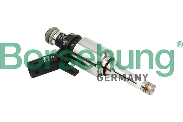 Borsehung B16924 Injector