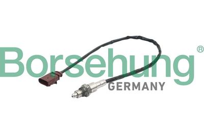 Oxygen Sensor Borsehung B16931