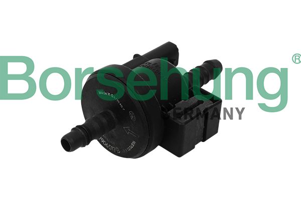 Borsehung B16933 Charcoal Filter Valve