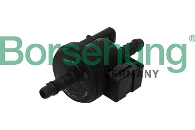Charcoal Filter Valve Borsehung B16933