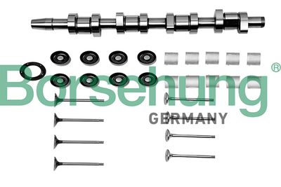 Repair Kit, intermediate shaft Borsehung B17129