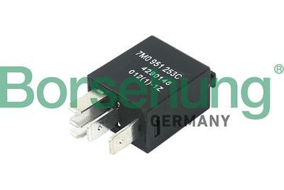Multifunctional Relay Borsehung B17806