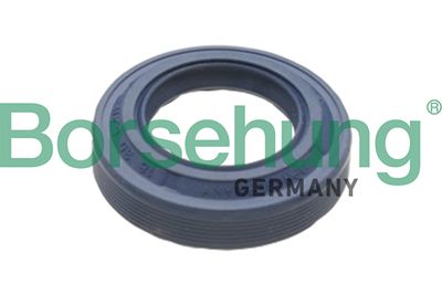 Shaft Seal, differential Borsehung B17828