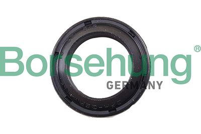 Shaft Seal, clutch release bearing shaft Borsehung B17833
