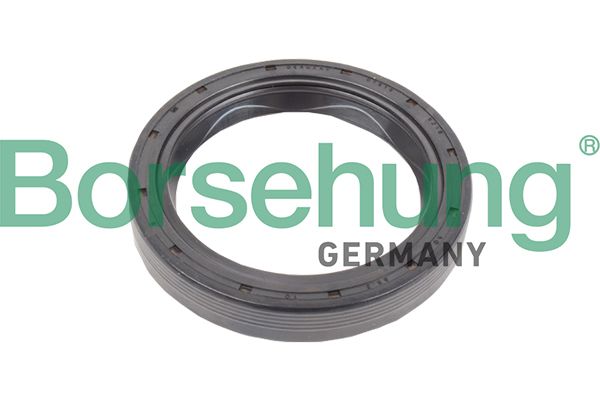 Borsehung B17834 Shaft Seal, manual transmission flange