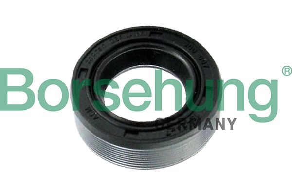 Borsehung B17837 Shaft Seal, differential