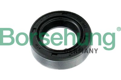 Shaft Seal, differential Borsehung B17837