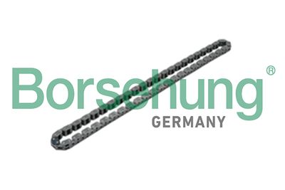 Timing Chain Borsehung B17905