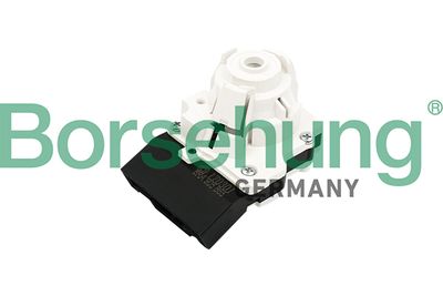 Ignition Switch Borsehung B17988