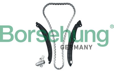 Timing Chain Kit Borsehung B17991