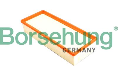 Air Filter Borsehung B18014