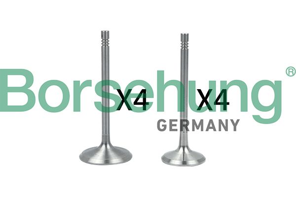 Borsehung B18146 Valve Kit, intake/exhaust valve