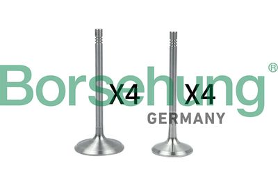 Valve Kit, intake/exhaust valve Borsehung B18146
