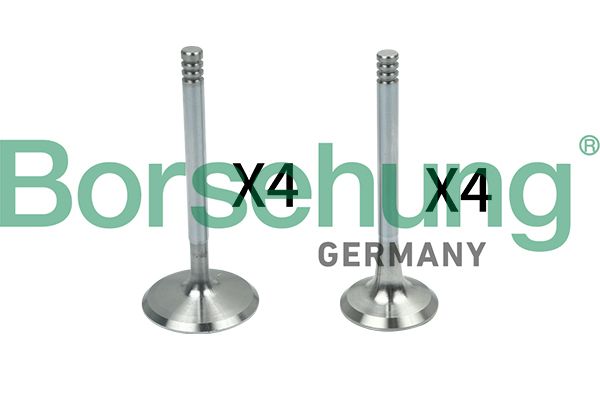 Borsehung B18148 Valve Kit, intake/exhaust valve